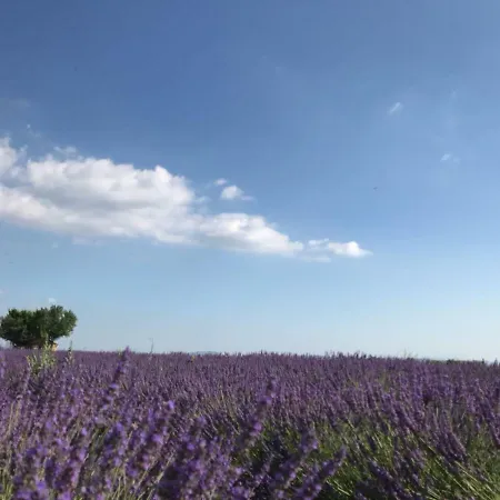Les Hotes De Marie Séjour chez l'habitant Moustiers-Sainte-Marie